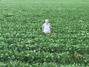 Caryl Nelsons mom in the soybeans