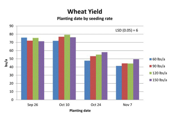 wheat yield based on planting date and seeding rate