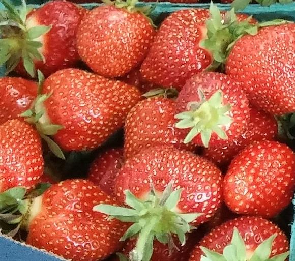 Iowa grown strawberries
