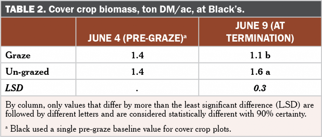 Brassica following grazing table 2