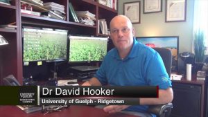 Dr David Hooker