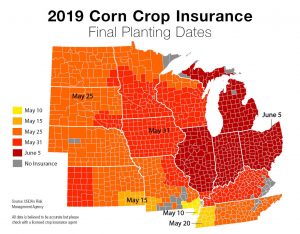 Corn final planting date