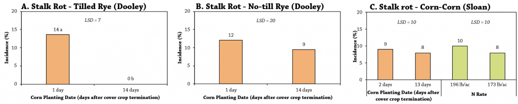 Corn planting date after cover crop termination stalk rot figure