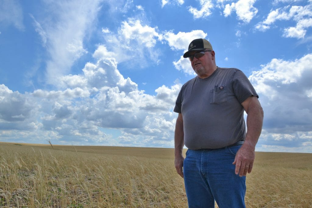 Jack Boyer farmer-led research reduce nitrogen input without reducing yield