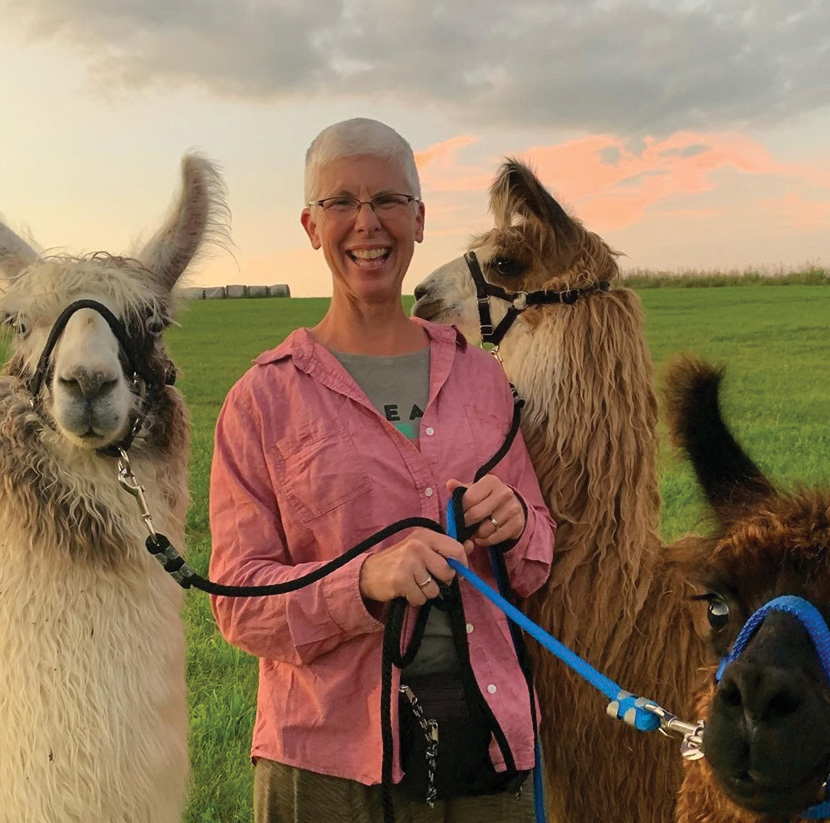 Susan Young and llamas