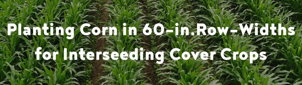Planting Corn in 60-in. Row-Widths for Interseeding Cover Crops