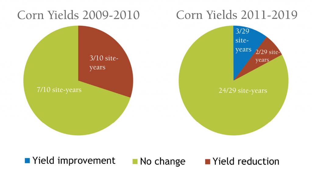 cover crop effect on corn yield