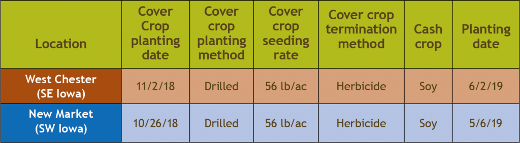 Cover crop management and cash crop