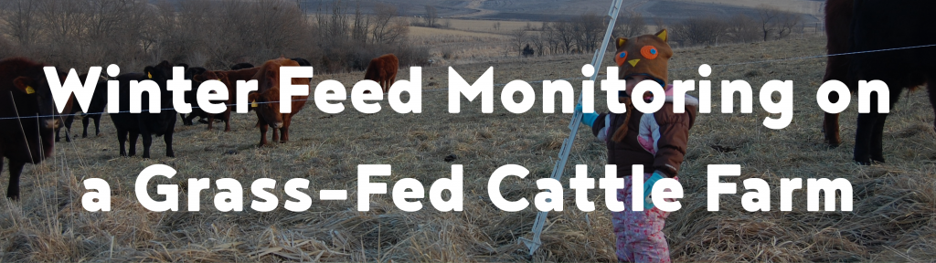 Winter feed monitoring