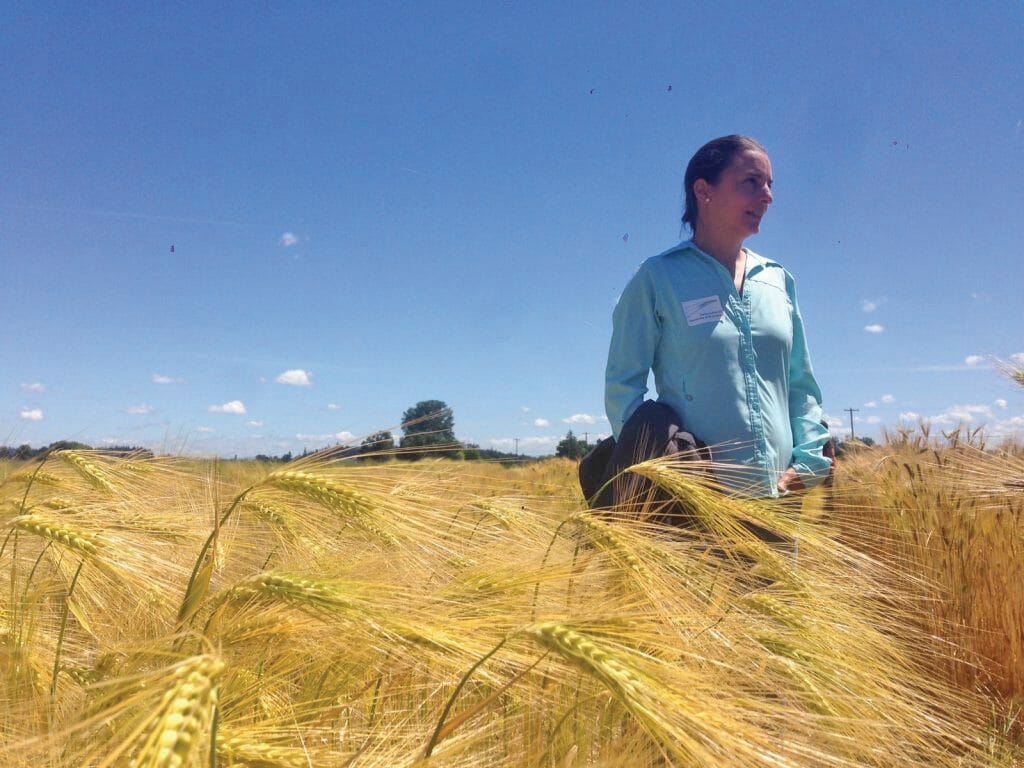 farmer Gutierrez Barley field