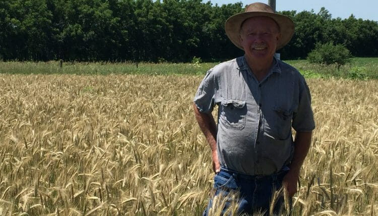 Tom Standing in a stand of hybrid rye for pig feeding