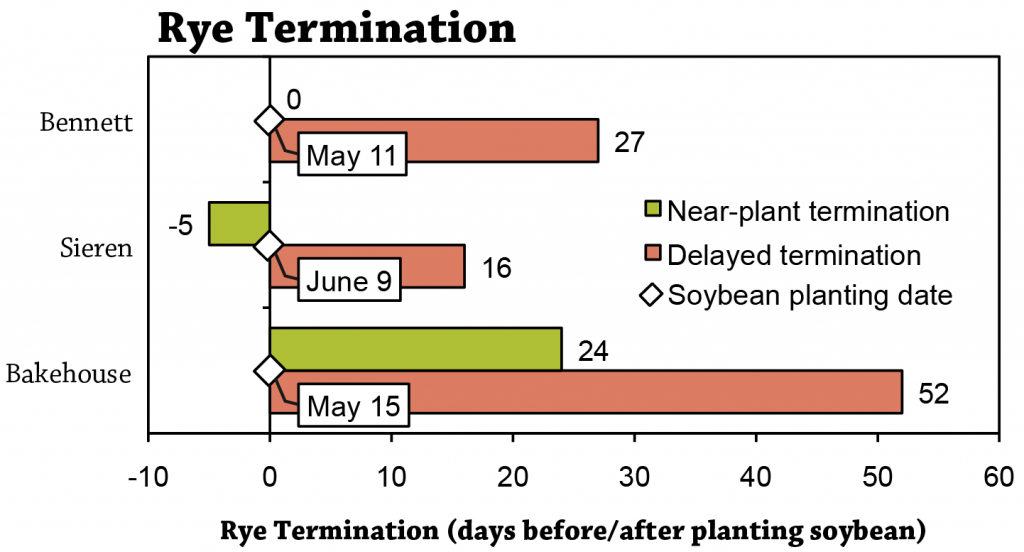 Terminating rye after planting soybeans Figure 1