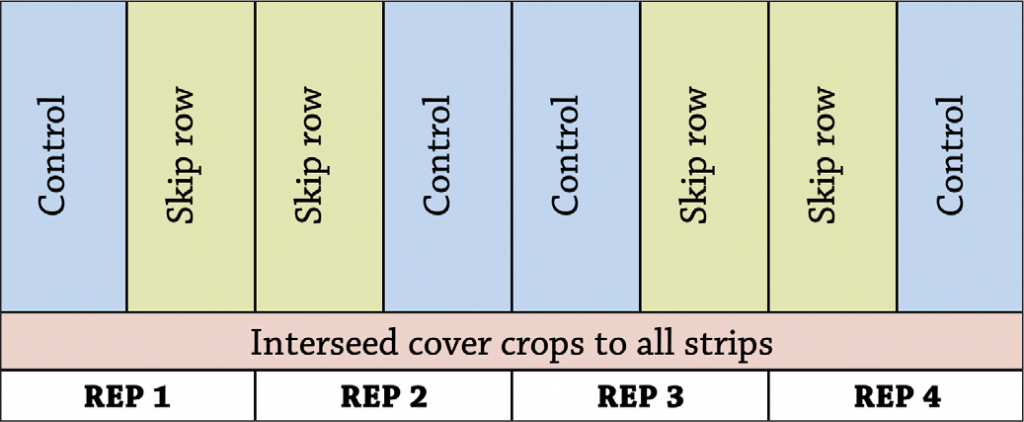 Organic corn skip rows fig a1