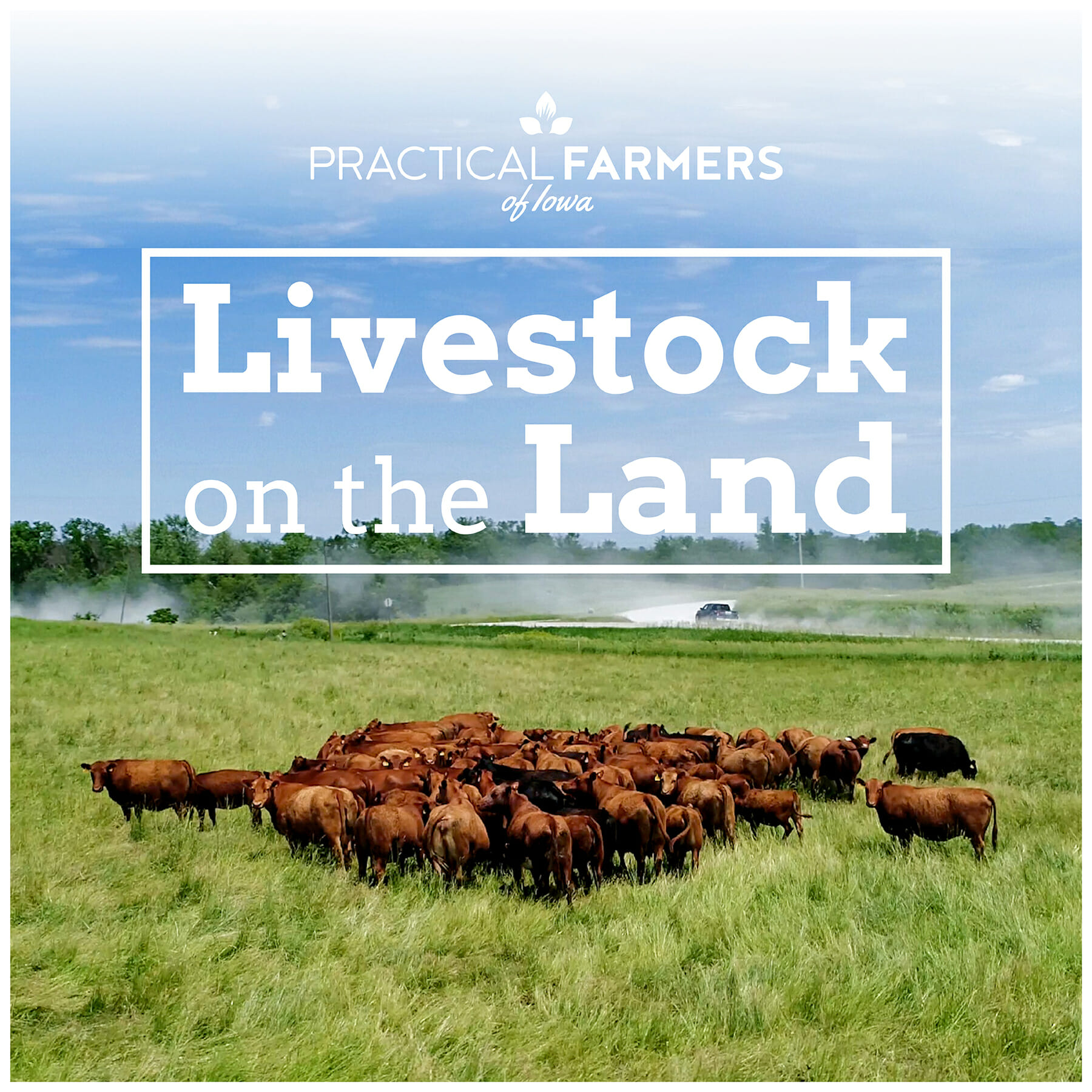 PFI2021 LivestockOnTheLand 1800x1800px