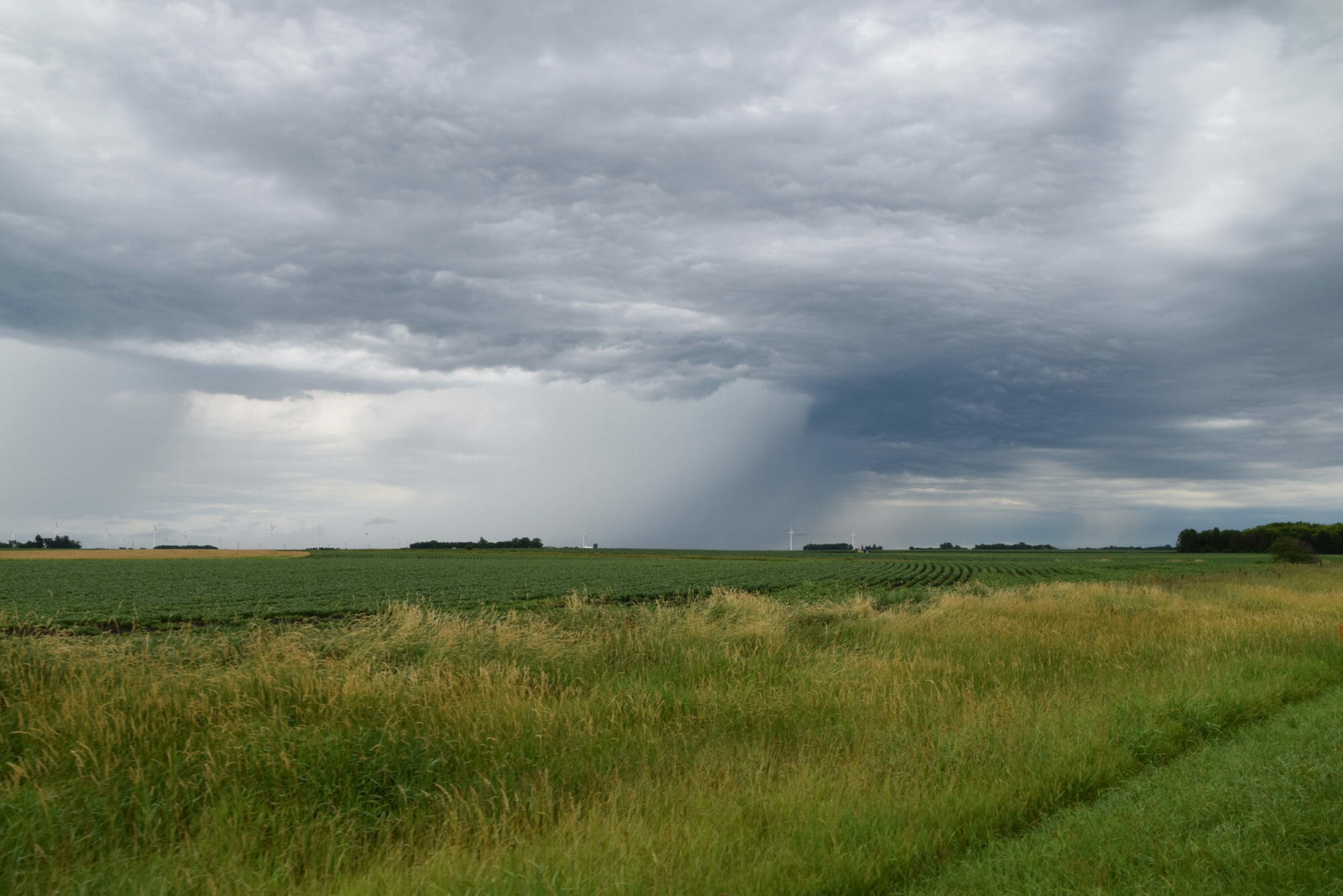 Habitat Incentives Program - Practical Farmers Of Iowa