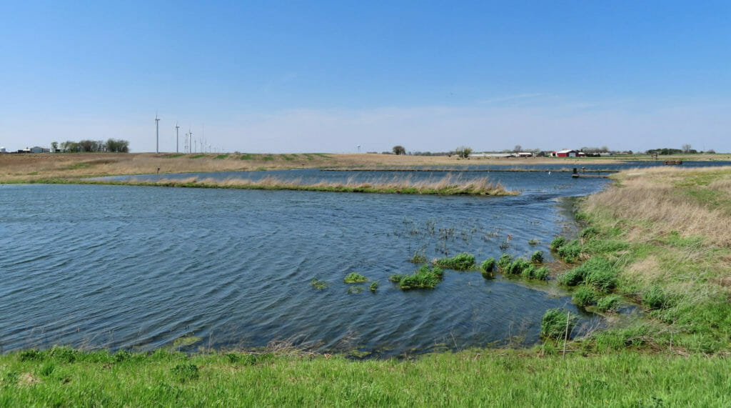 A photo of a wetland