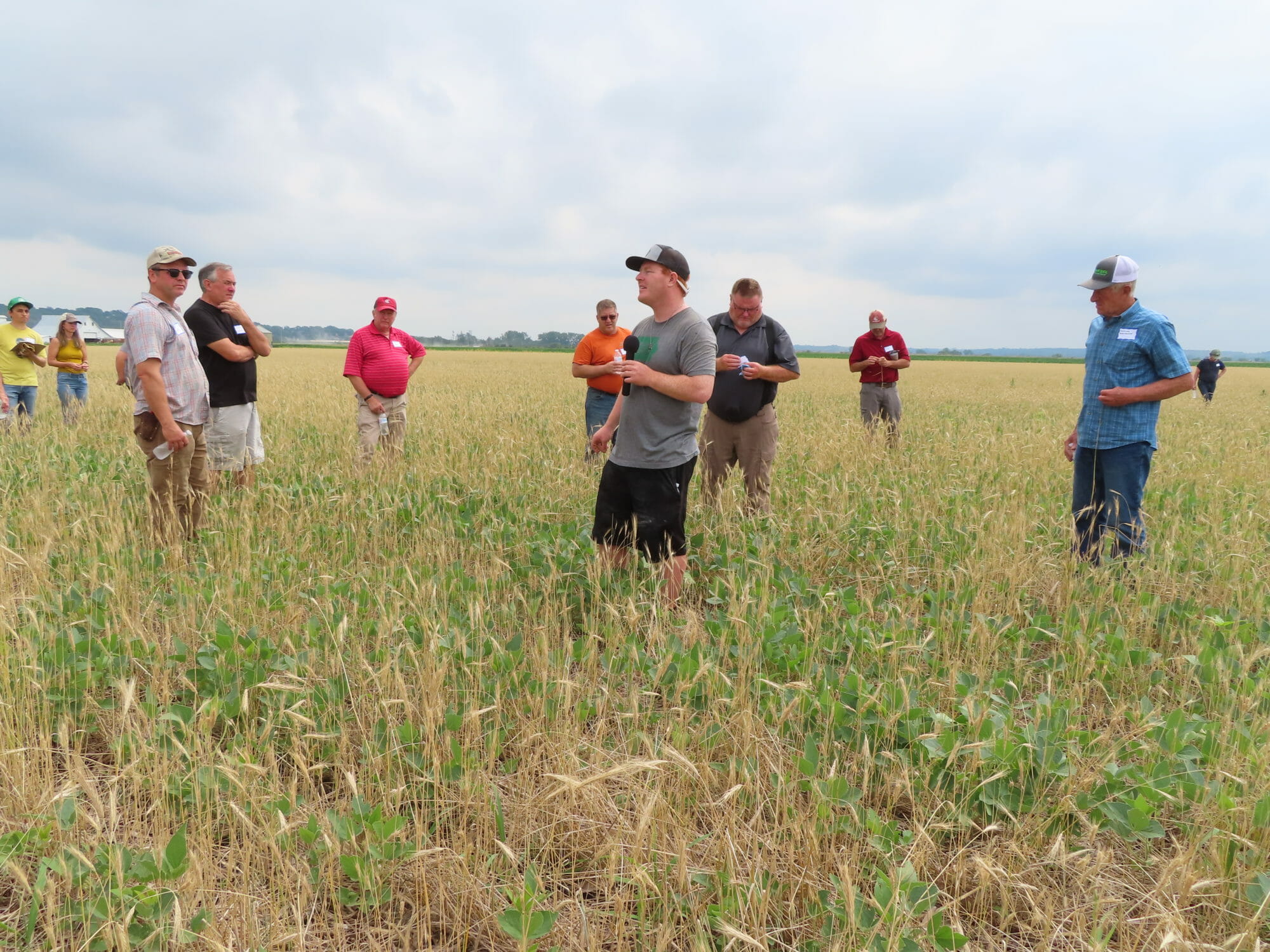 New effort aims to help Midwest farmers plant cover crops on a half a  million acres