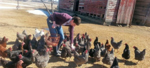 Amber Mohr with chickens