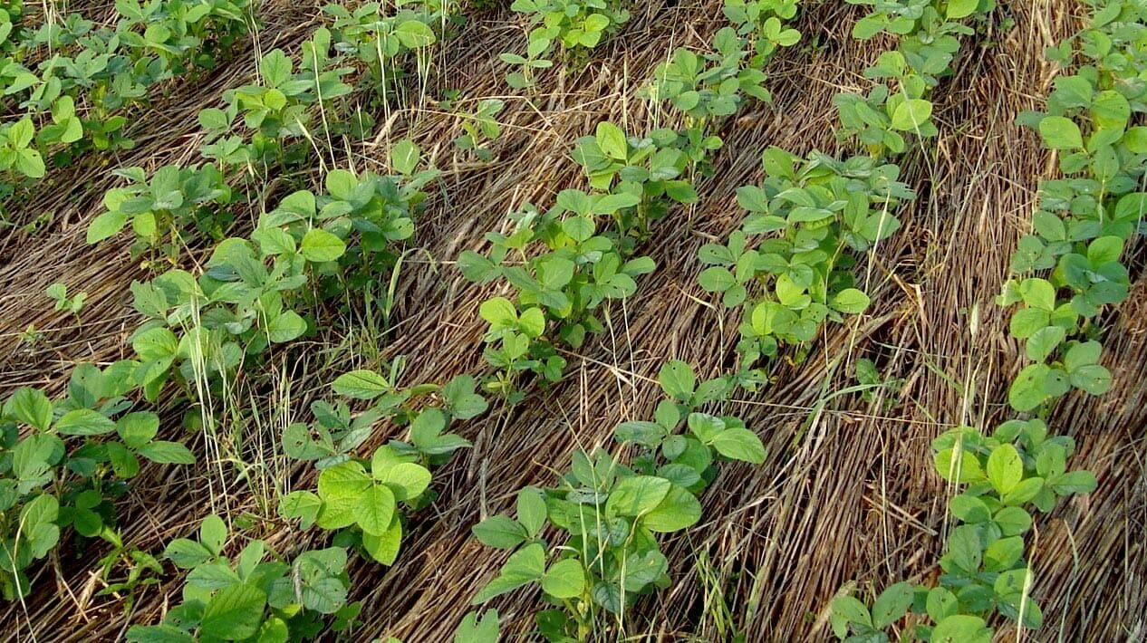 Scaling Up Custom Cover Crop Application - Practical Farmers of Iowa