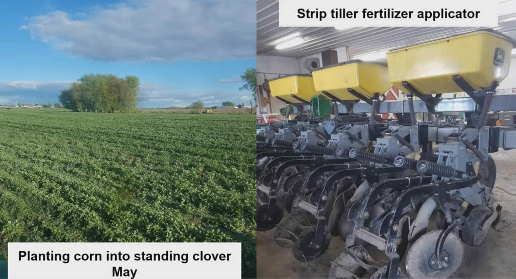 Clover and fertilizer applicator