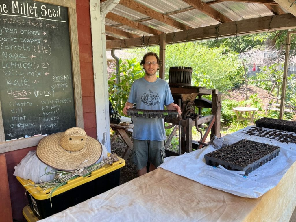 Jon Yagla preparing seed cauliflower.