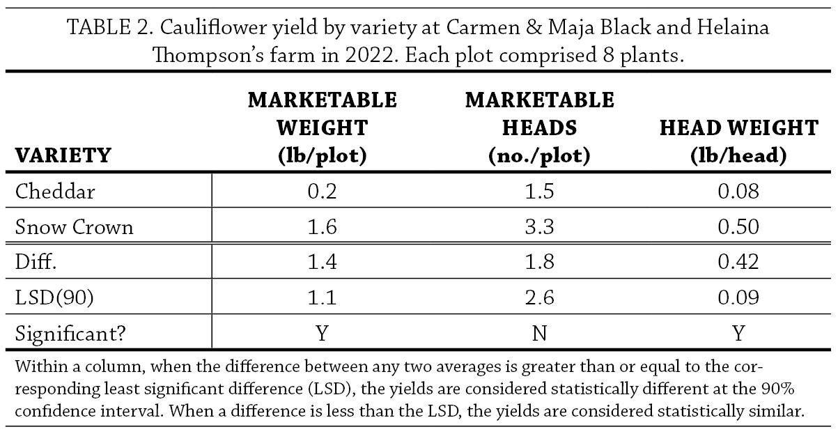 Cauliflower Variety Trial Table 2