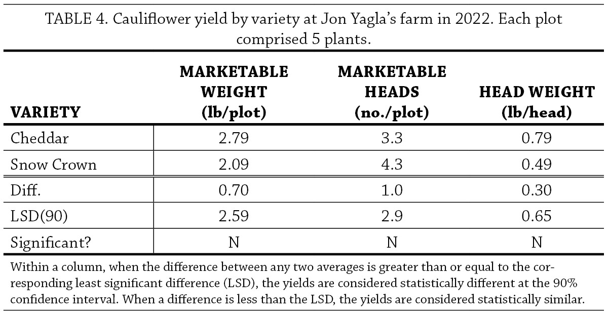 Cauliflower Variety Trial Table 4