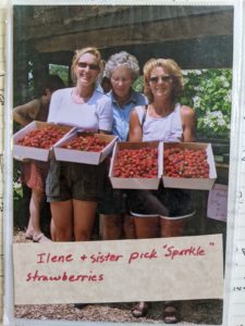Customers displaying their just picked strawberries at Berry Patch Farm