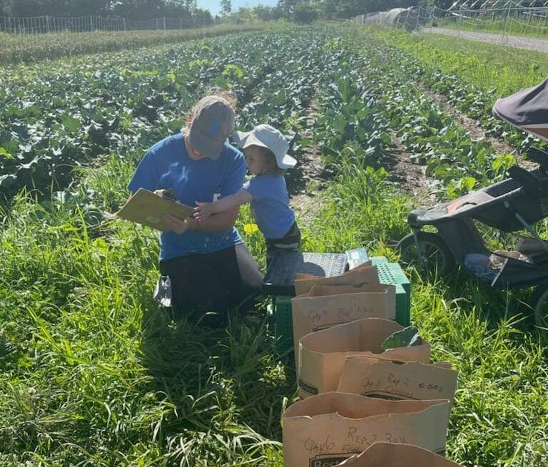 Kate edwards and daughter harvest broccoli