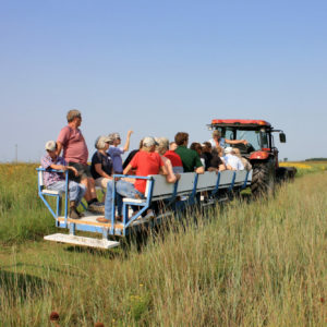 Field day attendees ride a wagon pulled by a tractor through a field. 