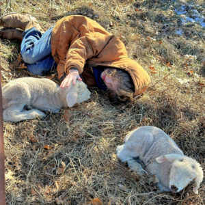 Henry Ahrens lies on the ground with two new lambs on his family's farm.