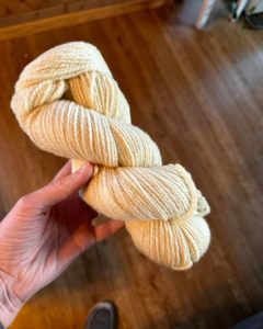 Yarn from sheep at Twisted Oak