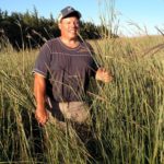 Kevin Fulton standing in tall prairie grass. 
