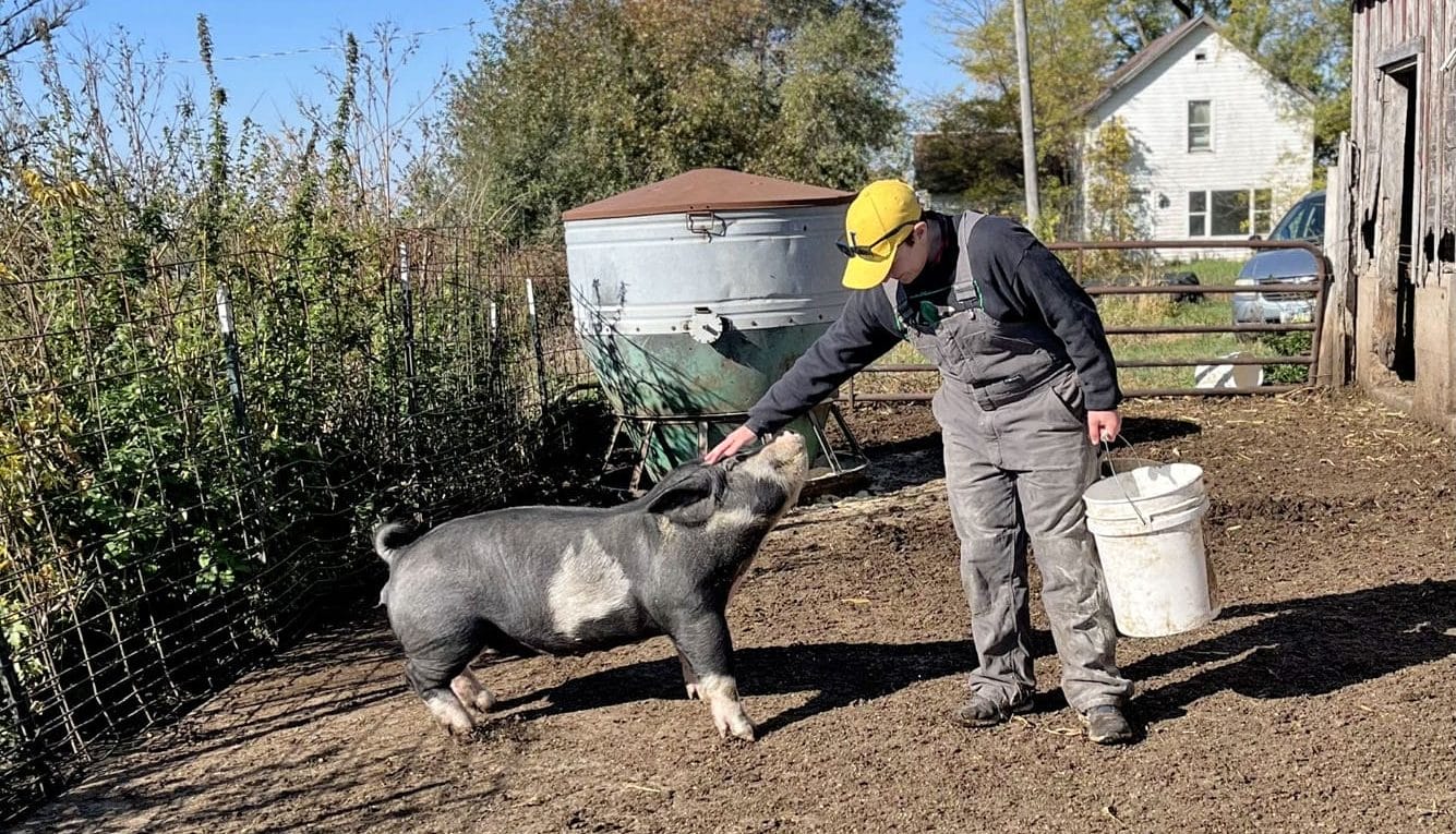 Shae Pesek pets a birkshire pig in it's pen on her farm. 