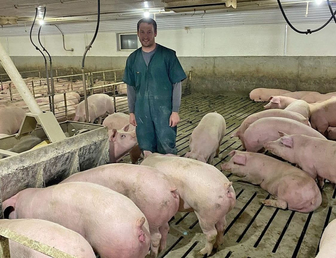 Todd Manternach stands with his pigs in one of the pens inside his conventional hog confinement operation. 