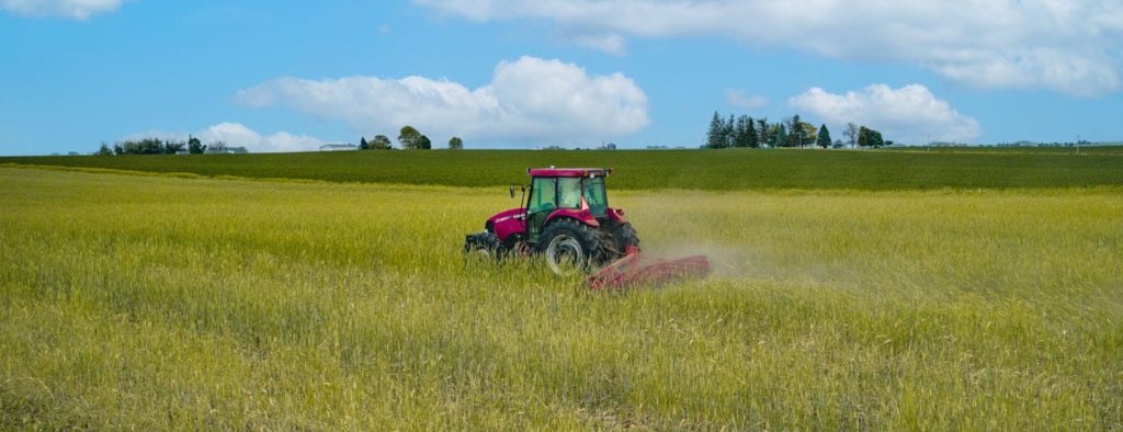 Fred Abels roller crimper terminate cereal rye cover crop