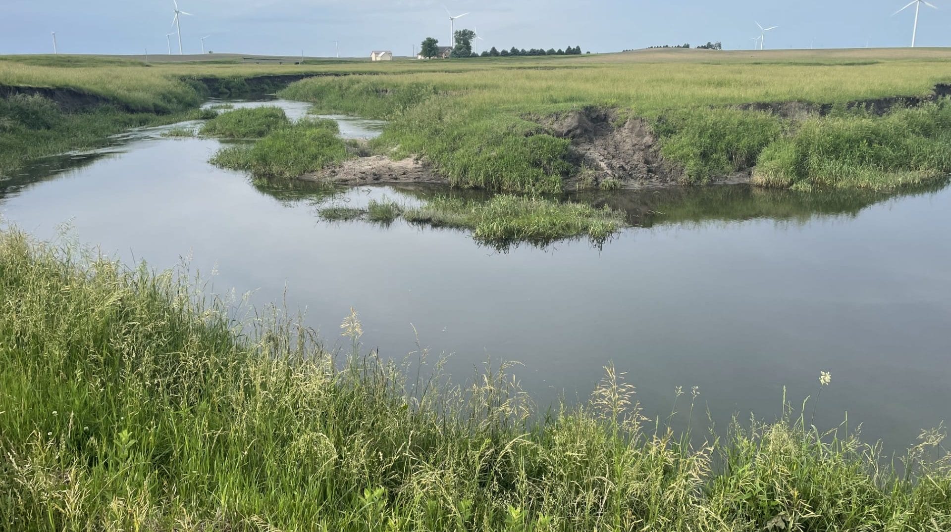 Restored oxbow