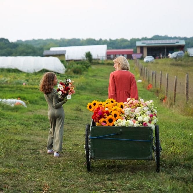 Decorah flower hub photo courtesy of Clara Muggli Toyloy