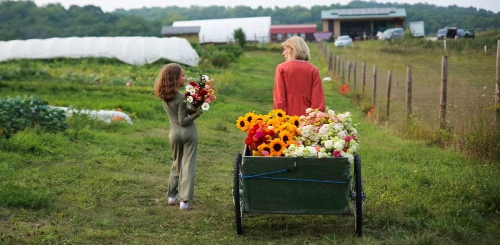 Decorah flower hub photo courtesy of Clara Muggli Toyloy