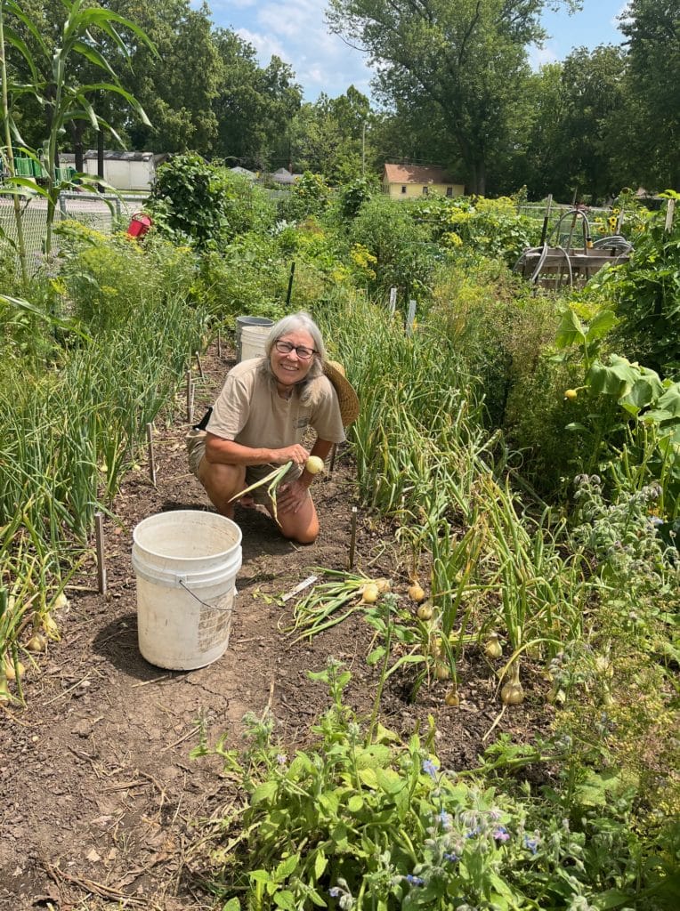 Roxane1 harvest