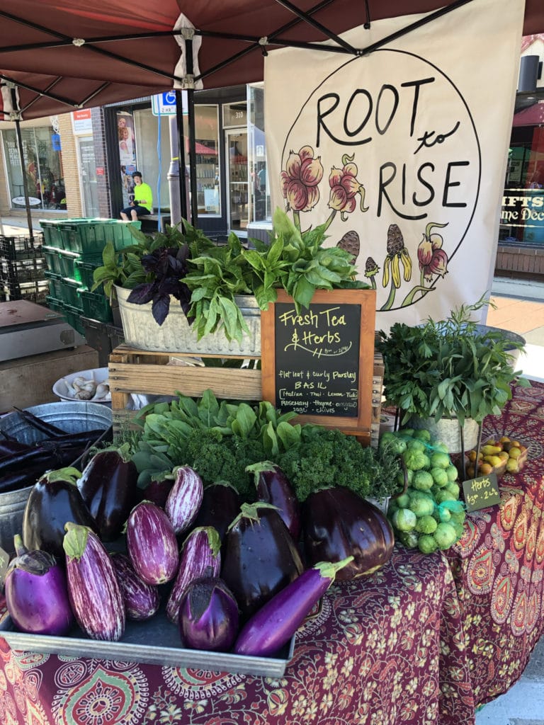 EggplantDisplay