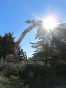 Laramie Ogden demonstrates quick tree removal.