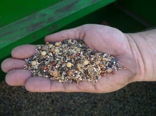 cocktail seed mixture May 2012