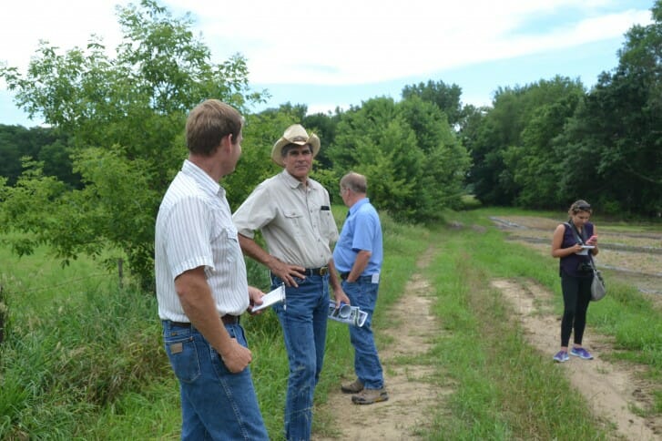 Wade Dooley and field day attendees look over his watermelon fields.