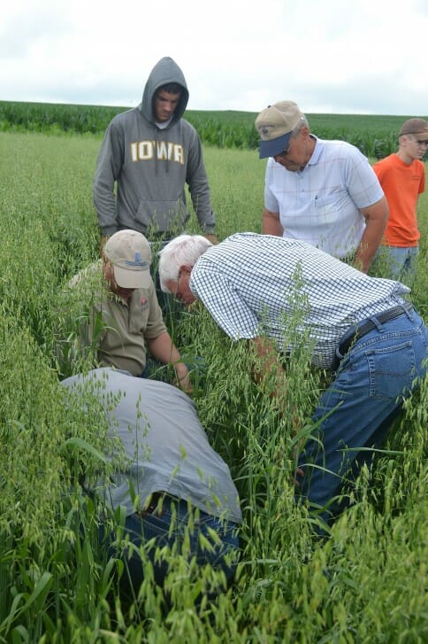 Checking out the forage diversity in David Carbaugh's converted row crops.