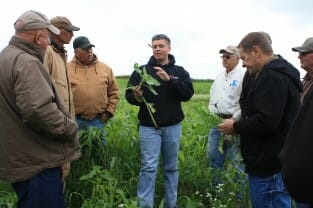 Colten Catterton of Green Cover Seeds leads a discussion of the 12-species cover crop mix Mark planted after cereal rye harvest.