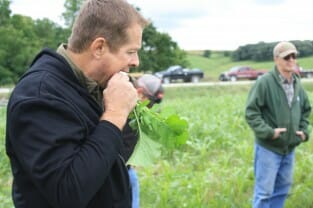 A field day attendee takes a bite out of a radish he pulled from Mark's field. Good and spicy!