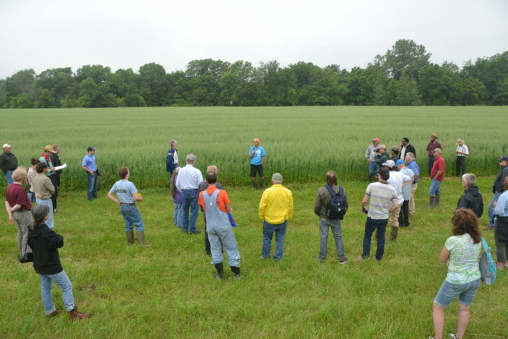 George describes to the group why he and his brother like to include oats in their organic crop rotation.