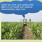 cover crops for seed corn