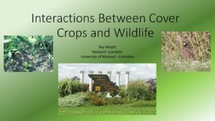 Effect of Diverse Cover Crops